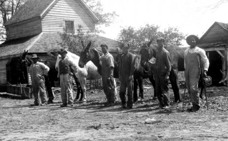 mules and sharecroppers