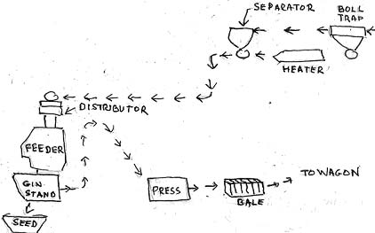 Diagram of Ginning Process